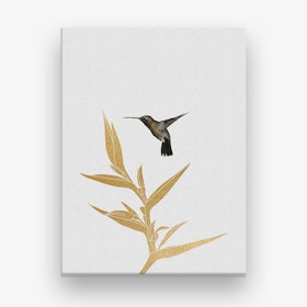 Hummingbird & Flower II Canvas Print